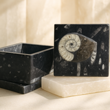 KS Shani Sade Sati Kit (Pyrite Bracelet, Kuber Stone Box, Sulemani Hakik Bracelet, Pyrite Ganesha, Pyrite Base GomtiChakra Pyramid, Black Tourmaline Anklet)