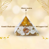 Shree Yantra Gomti Chakra Pyramid