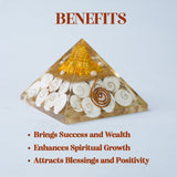 Shree Yantra Gomti Chakra Pyramid
