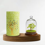 Dome Crystal Tree