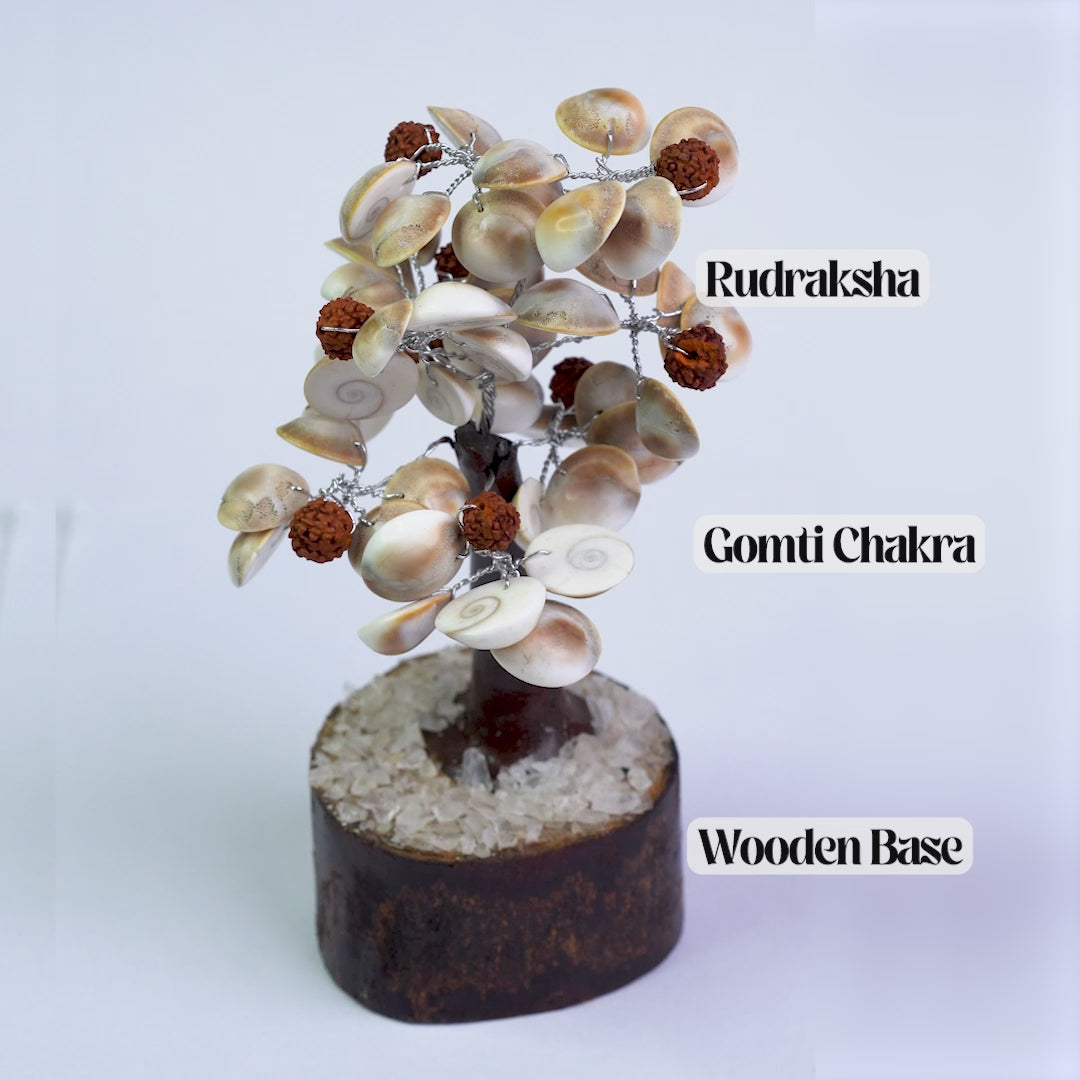 Gomti Chakra & Rudraksha Tree