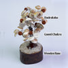 Gomti Chakra & Rudraksha Tree
