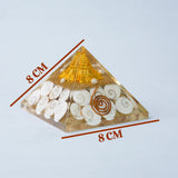Shree Yantra Gomti Chakra Pyramid