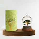 Dome Crystal Tree